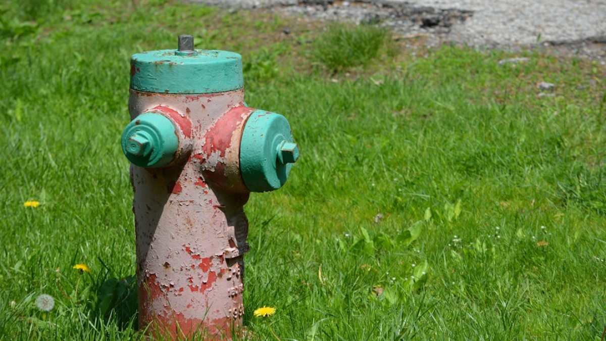 a fire hydrant in the grass
