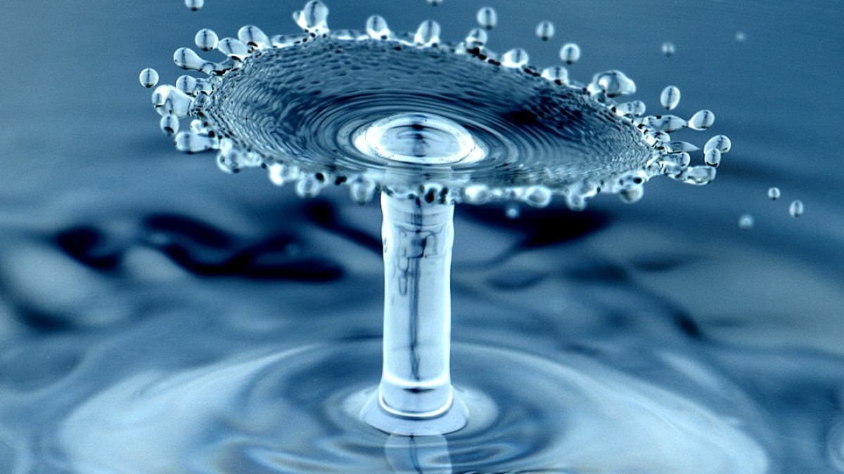 water drops macro photography