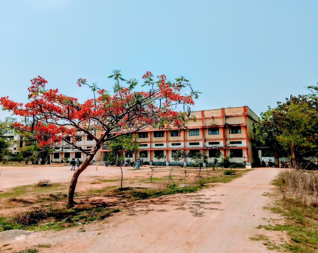 red and green tree across orange building during daytime